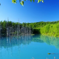 【絶景】青い池