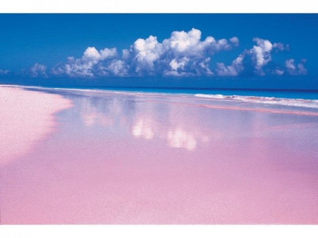 pink-sands-habour-island